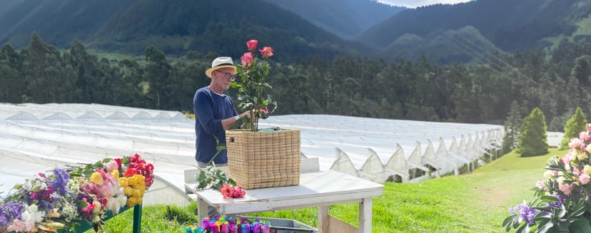 Farm workers sorting roses